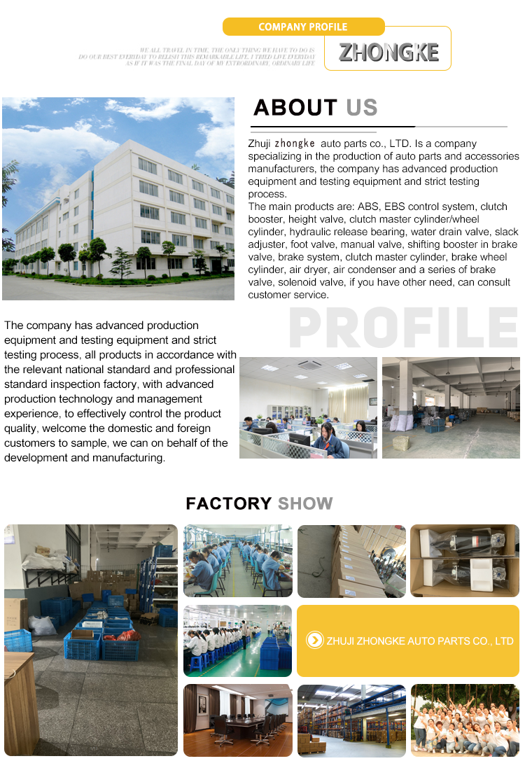 Company Profile and Factory Overview