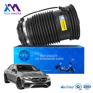 Tech Master New Strut Air Bags Suspension for Mercedes-Benz W213 C257 X253 OE 2133280200