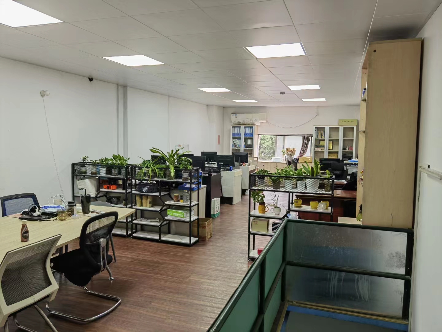 Company Profile View 1
