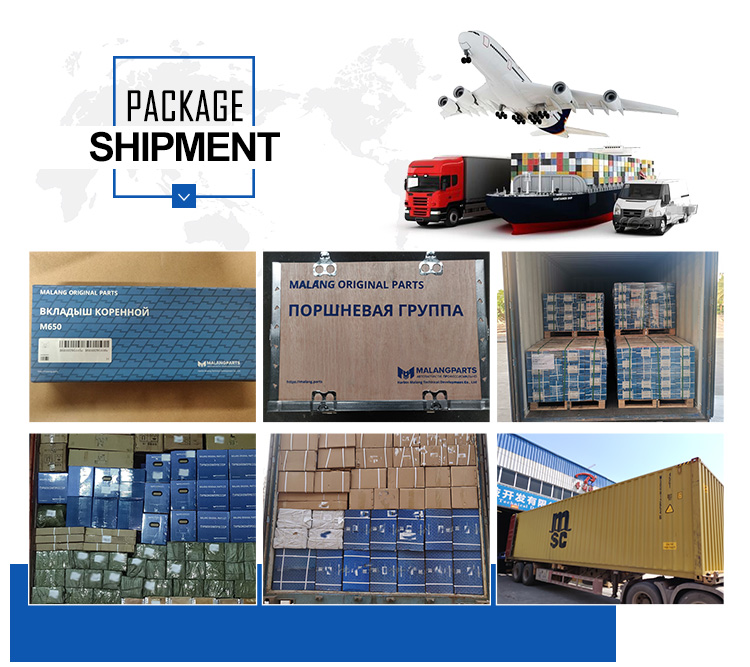 Packaging and Shipping Logistics