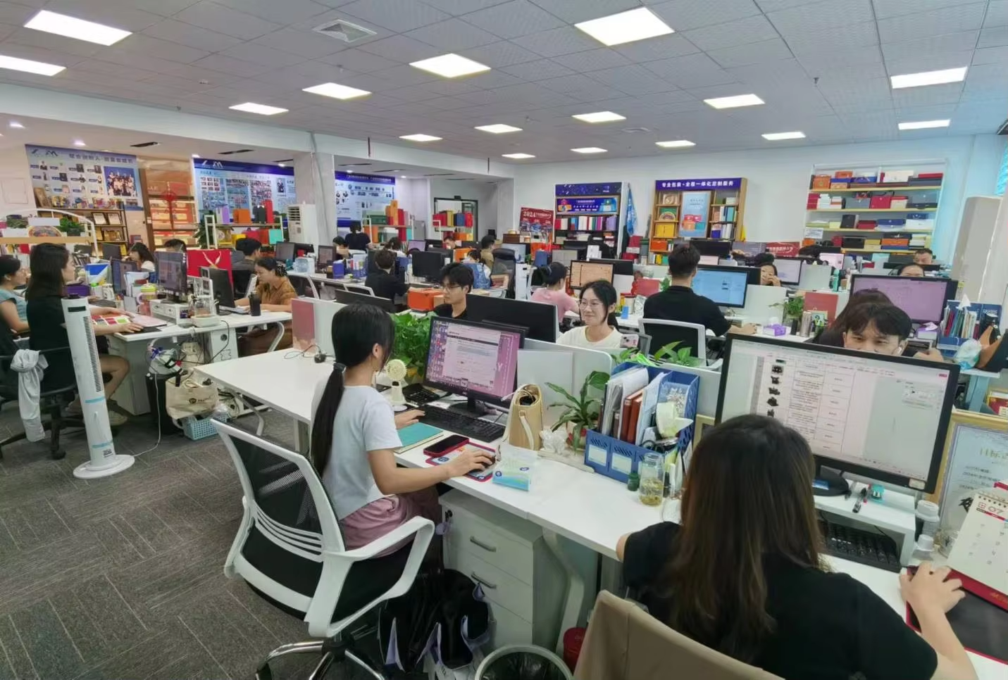 Office and Team 3