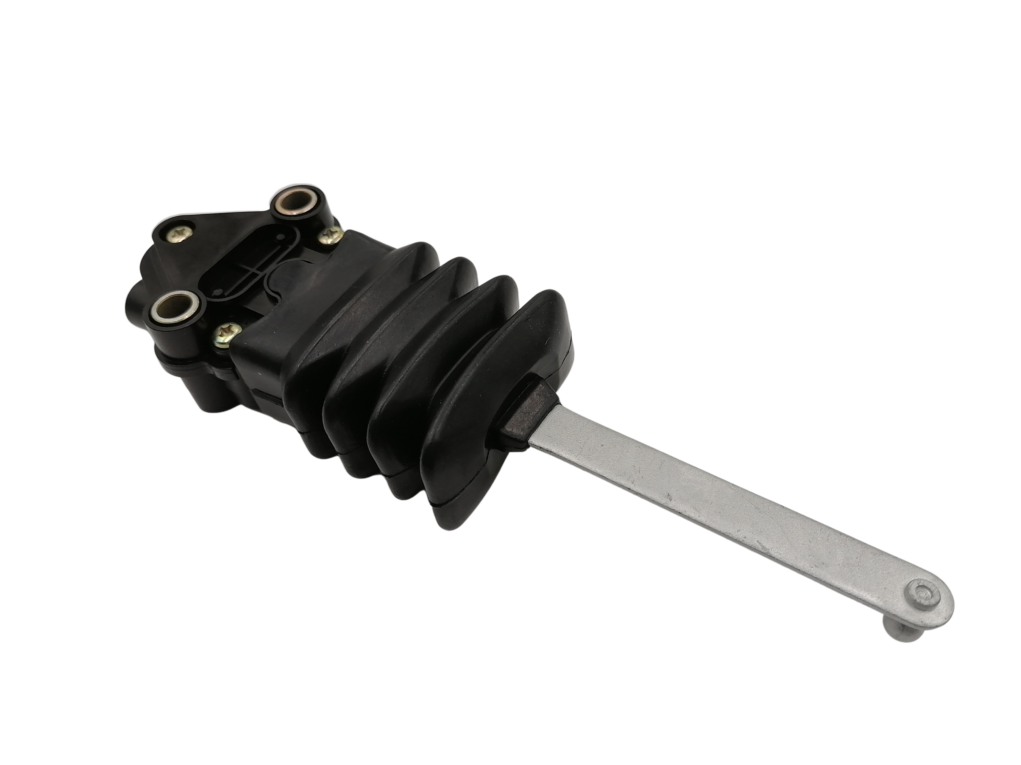 Product Showcase