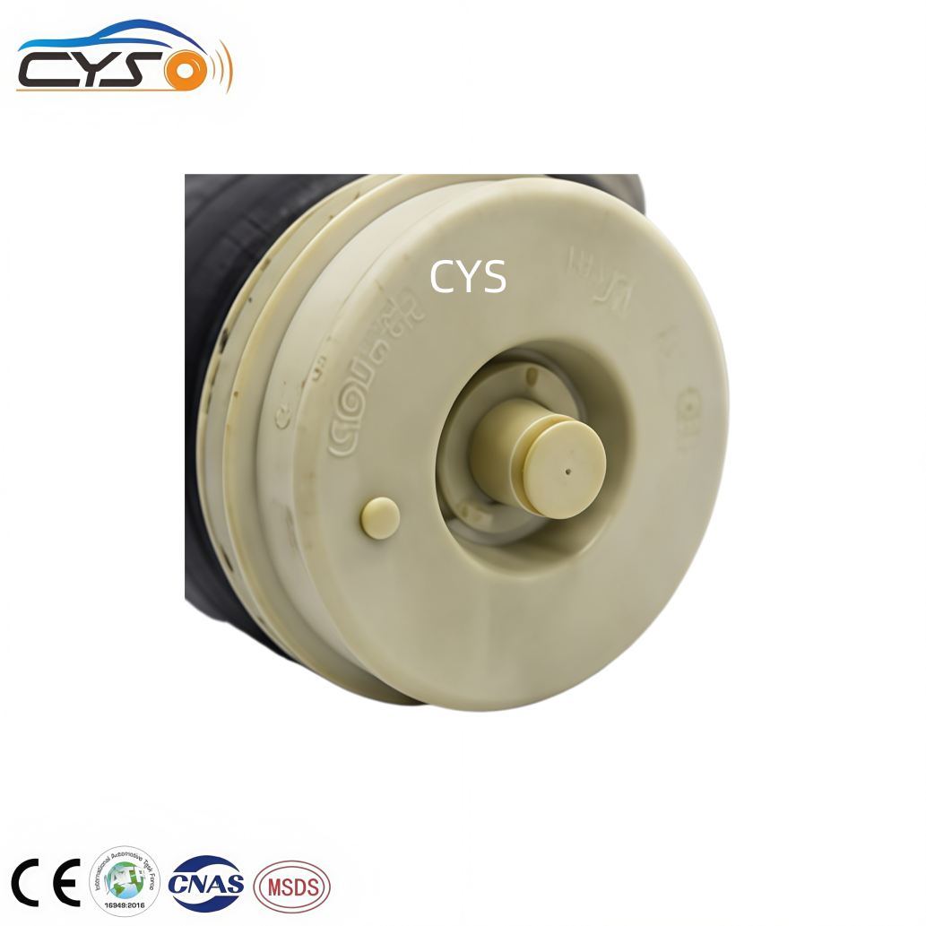 Ford F150 Truck Pickup 2WD Rear Air Suspension Bag with I Year Warranty Factory Wholesale OEM F75Z5A891AC