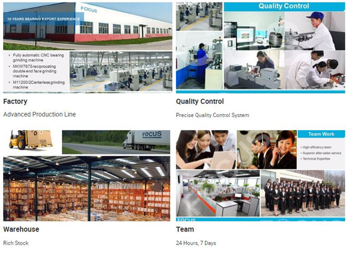 Focus Bearing Certifications and Lineup