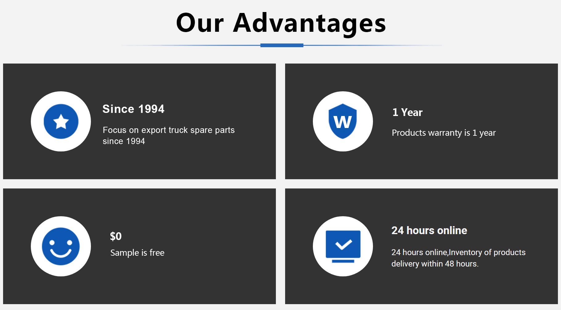 Our Advantages Infographic
