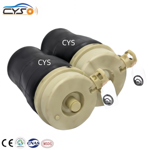 Rear Air Suspension Bag F75Z5A891AC