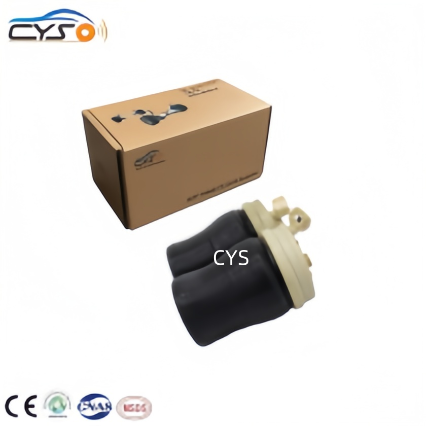 Ford F150 Truck Pickup 2WD Rear Air Suspension Bag with I Year Warranty Factory Wholesale OEM F75Z5A891AC