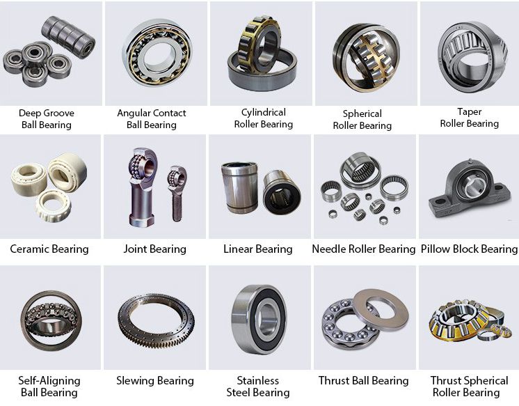 Focus Bearing Production and Warehouse