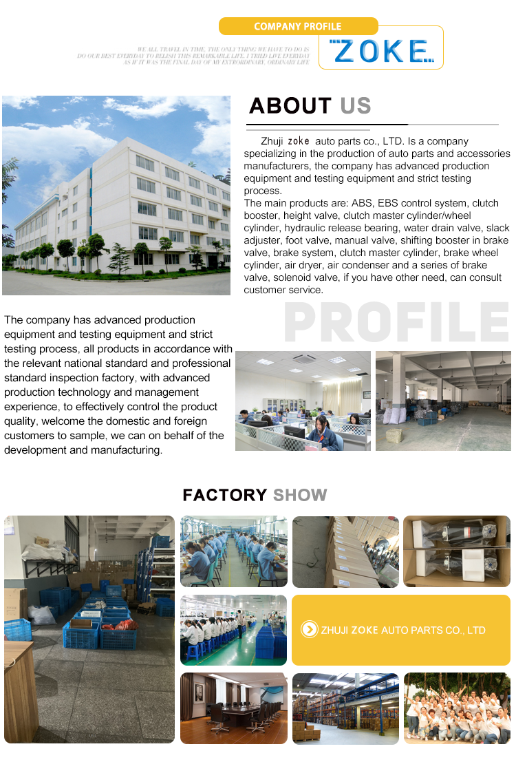 Company Profile